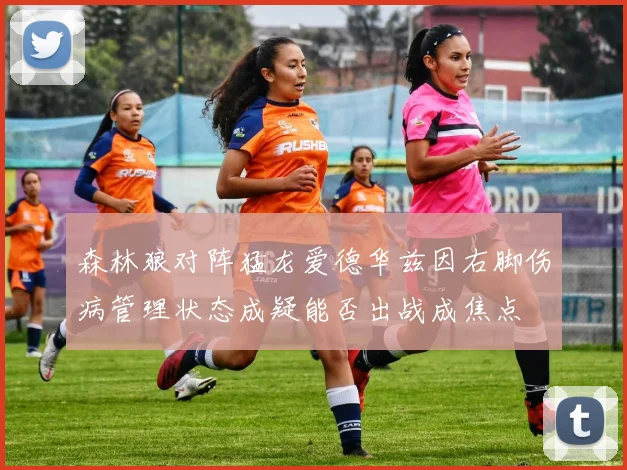 森林狼对阵猛龙爱德华兹因右脚伤病管理状态成疑能否出战成焦点