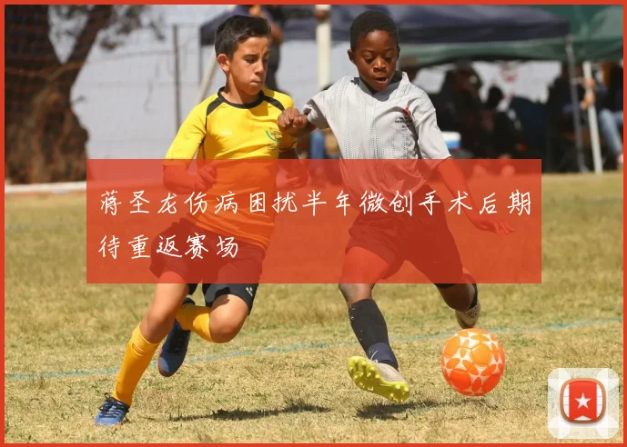 蒋圣龙伤病困扰半年微创手术后期待重返赛场