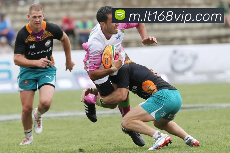 乐天堂fun88平台生态图