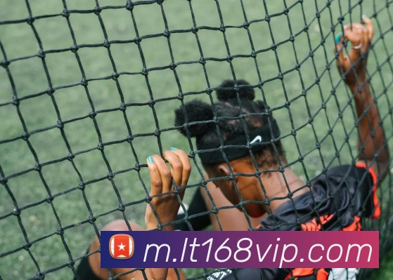 乐天堂fun88APP 封面图